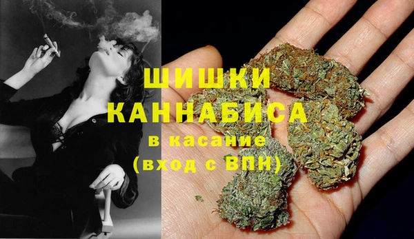 крисы Козельск