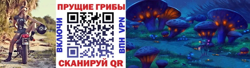 мега tor  где купить наркотик  Гусев  Псилоцибиновые грибы Cubensis 